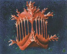 Coral Helm