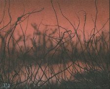 Cursed Land