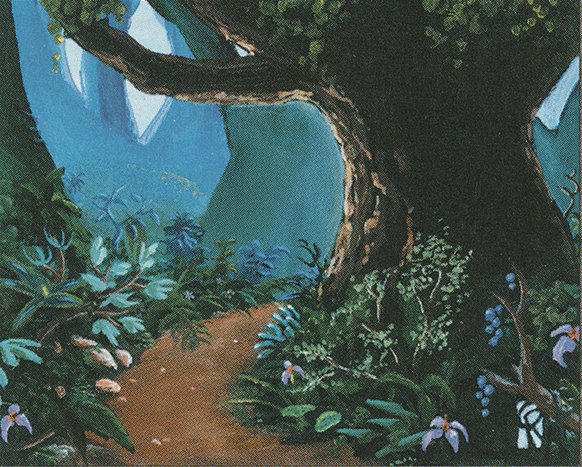 Forest