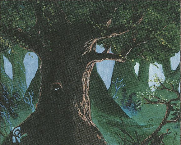 Forest