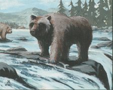 Grizzly Bears