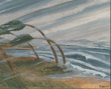 Hurricane