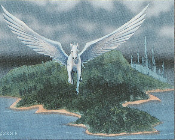 Island Sanctuary