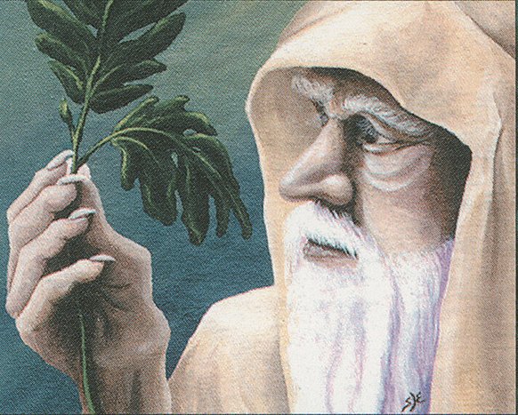 Ley Druid
