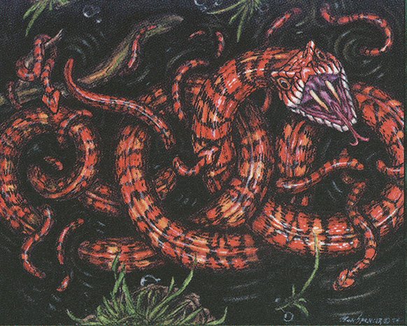 Marsh Viper