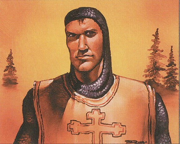 Northern Paladin