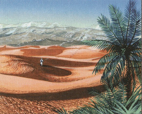 Oasis