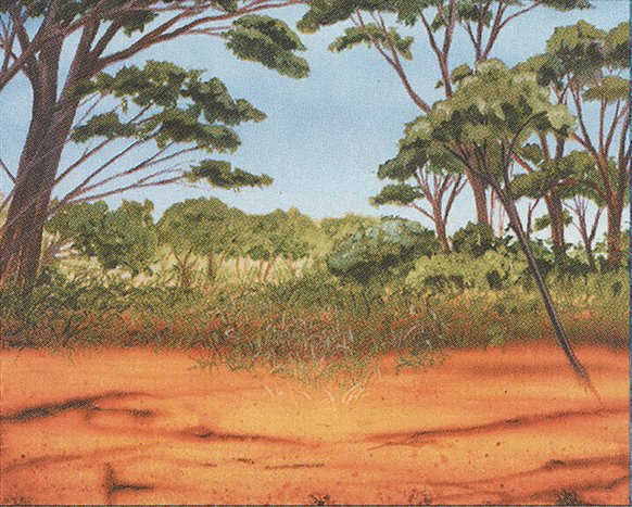Phantasmal Terrain
