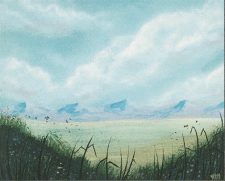 Plains