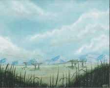 Plains