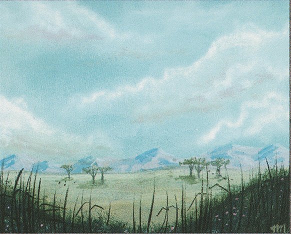 Plains