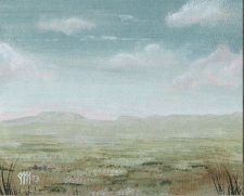 Plains