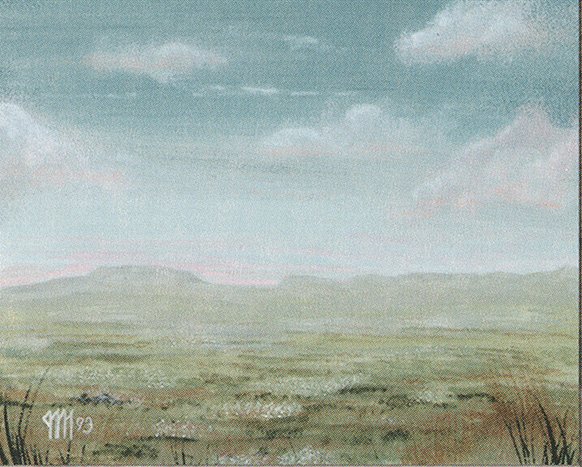 Plains