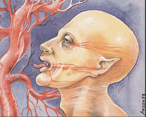 Sengir Vampire