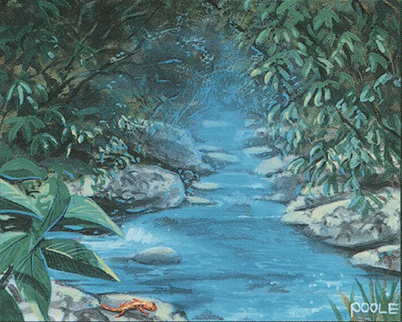 Stream of Life