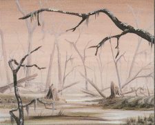 Swamp
