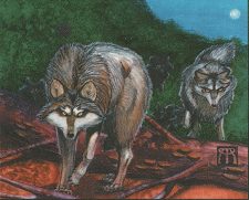 Timber Wolves