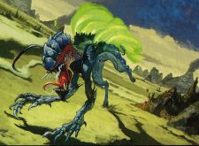 Nim Grotesque