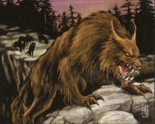 Aspect of Wolf