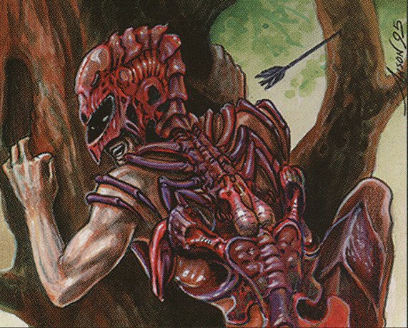 Carapace