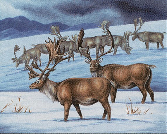 Caribou Range
