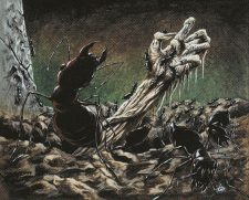 Carrion Ants