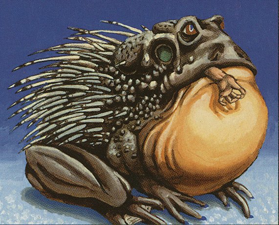 Chub Toad