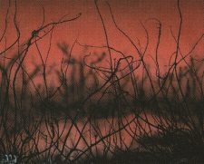 Cursed Land