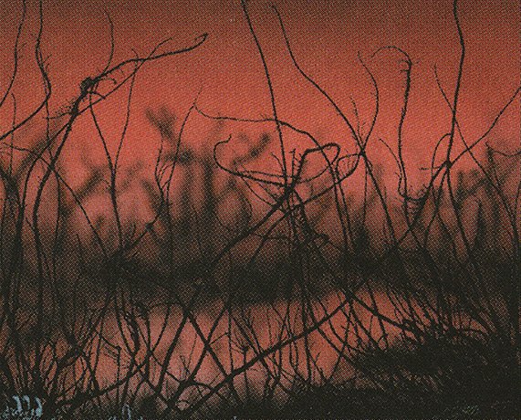 Cursed Land