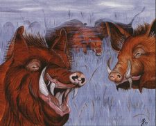Durkwood Boars