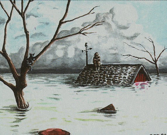 Flood
