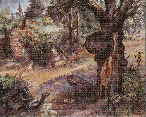 Havenwood Battleground