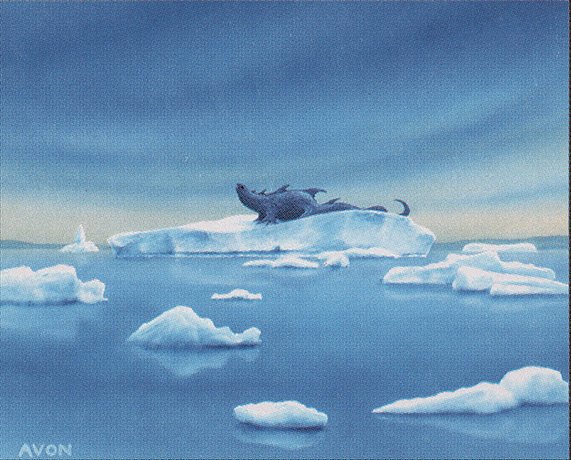 Ice Floe