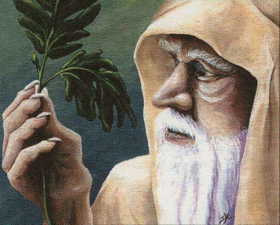 Ley Druid