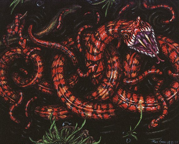 Marsh Viper