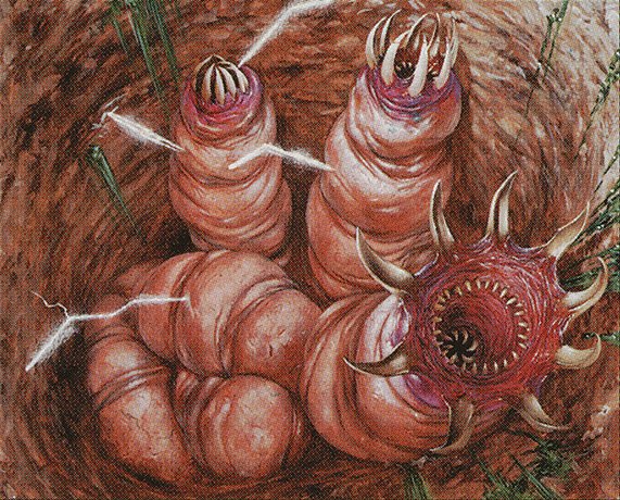 Mole Worms