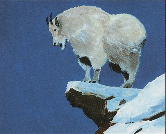 Mountain Goat