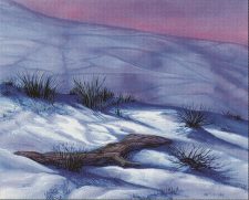 Plains