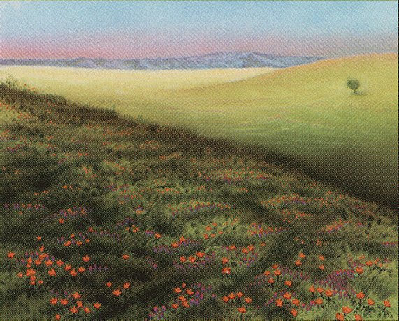 Plains