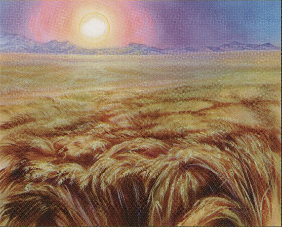 Plains