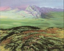 Plains
