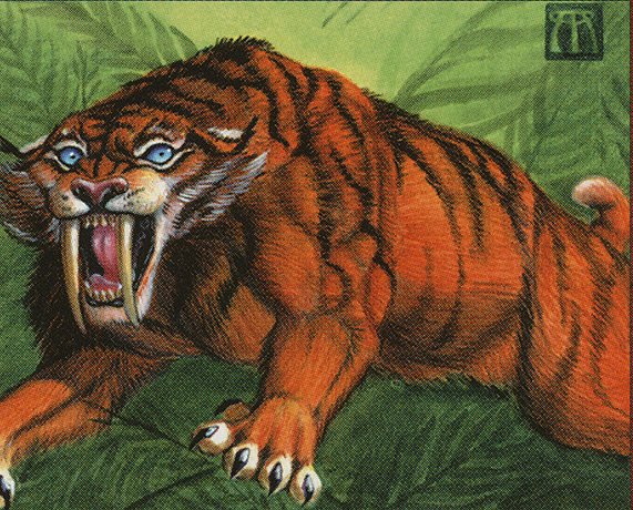 Sabretooth Tiger