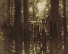 Swamp