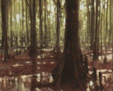 Swamp