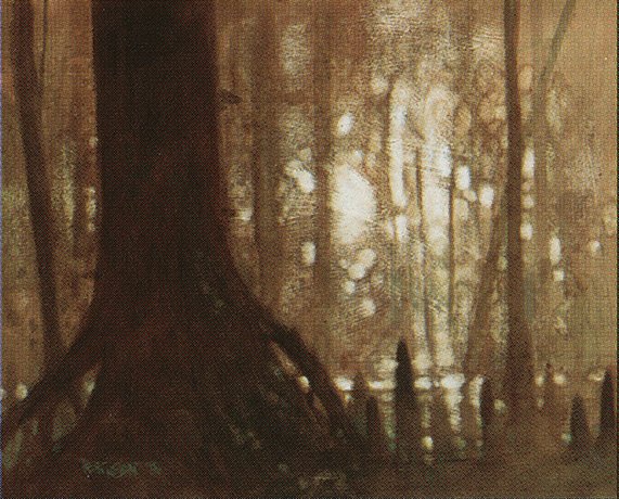 Swamp