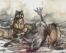 Tundra Wolves