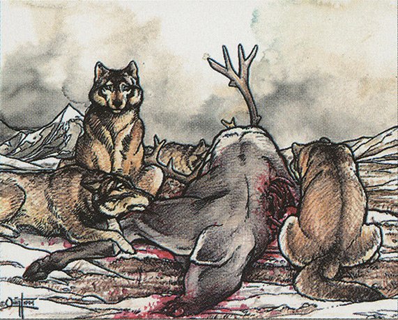 Tundra Wolves