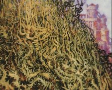 Wall of Brambles
