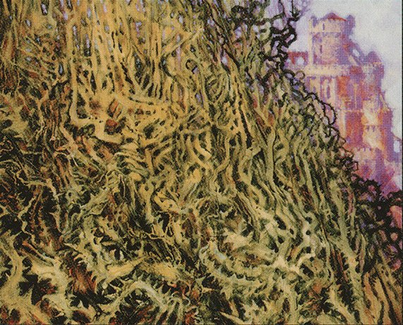 Wall of Brambles