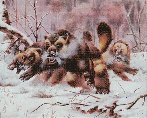 Wolverine Pack